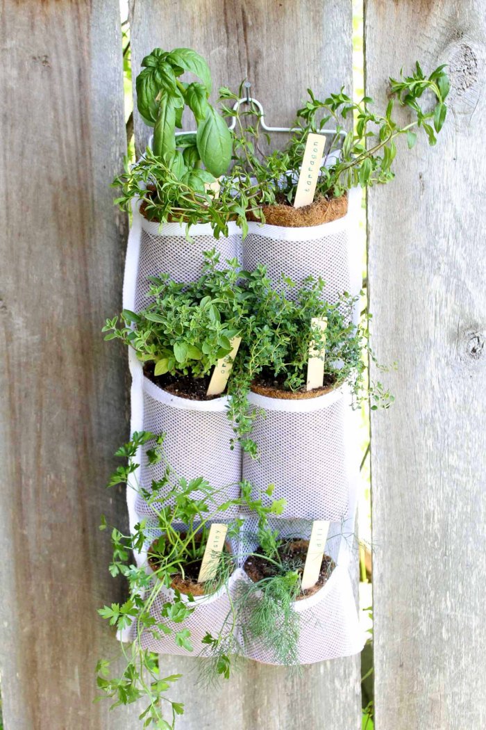 DIY Vertical Herb Garden Angie's List